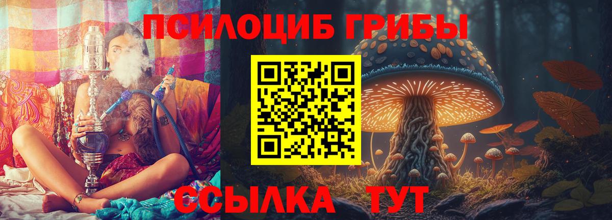 Щёлково  Галлюциногенные грибы Cubensis  Вход с VPN 
